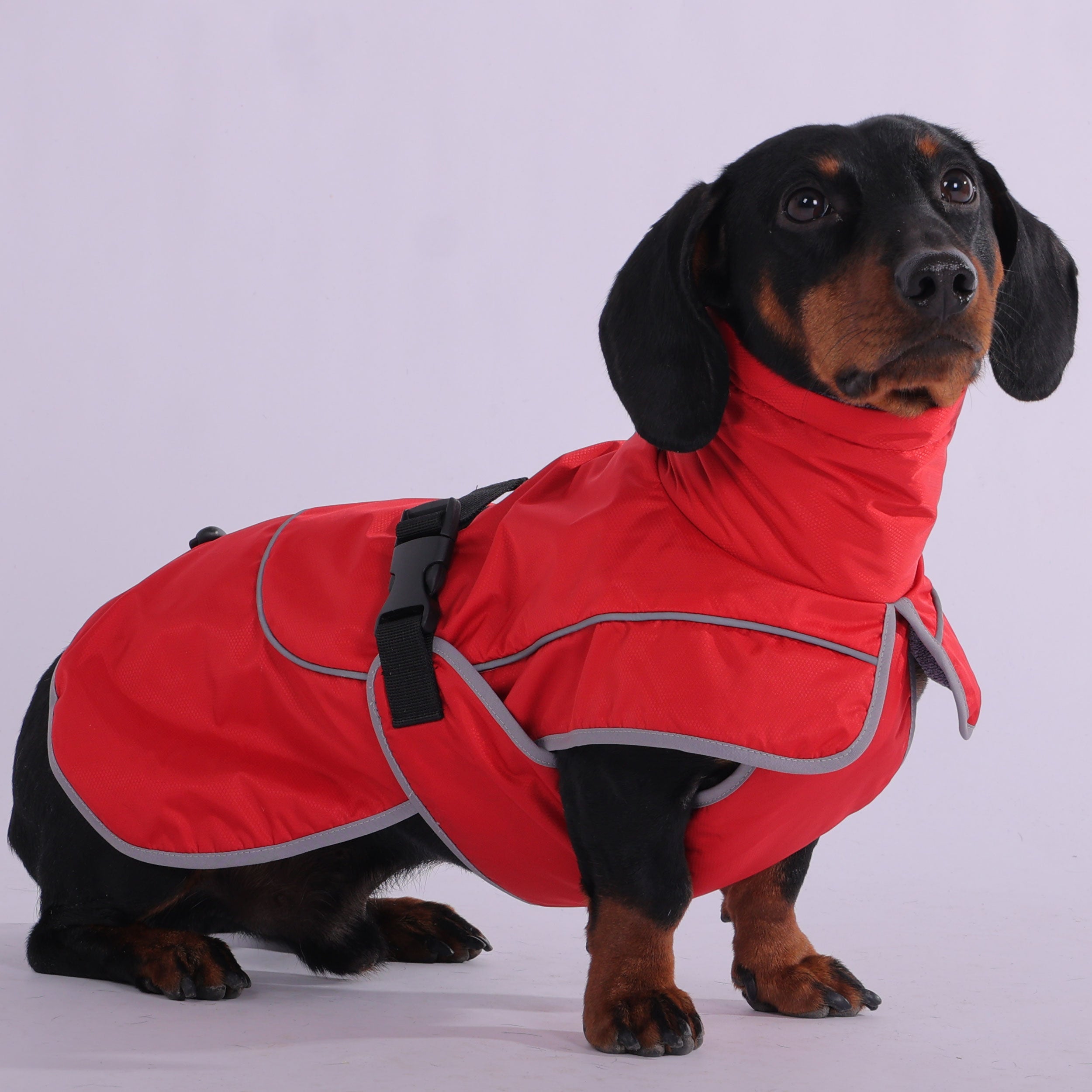 Dachshund Winter Jacket Waterproof High Collar Reflective XS–XL Raincoat Windproof Dog Coat Sausage Dog Wet Weather | Koossa